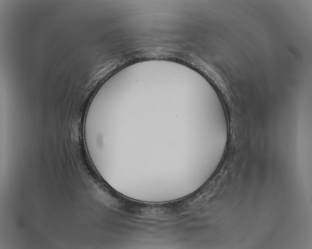 X0000111230105200907301254