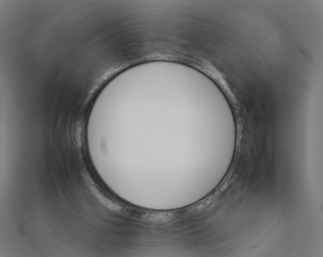 X0000111230106200907301254