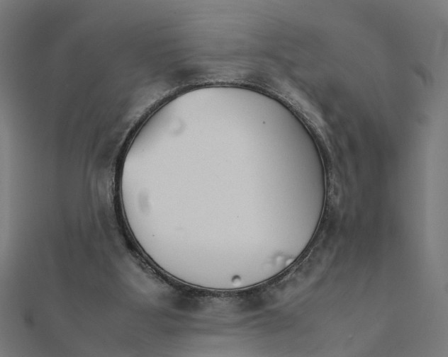 X0000111230107200907301254