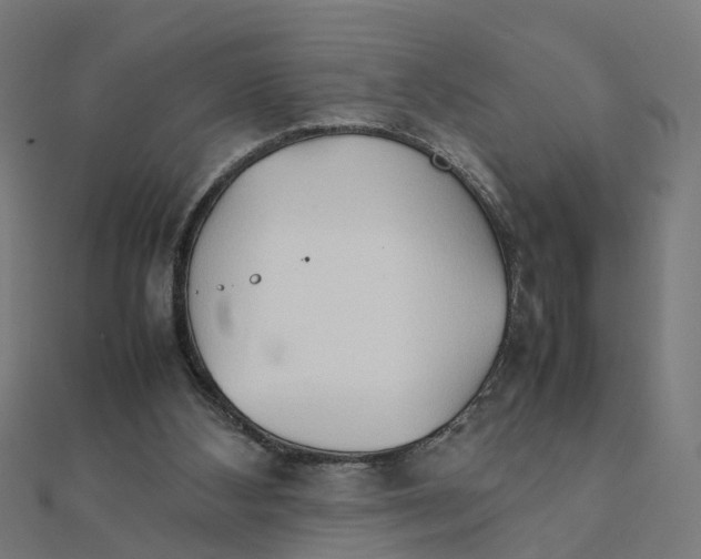 X0000111230108200907301254