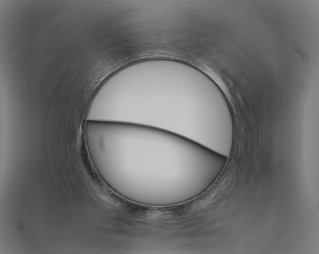 X0000111230109200907301254