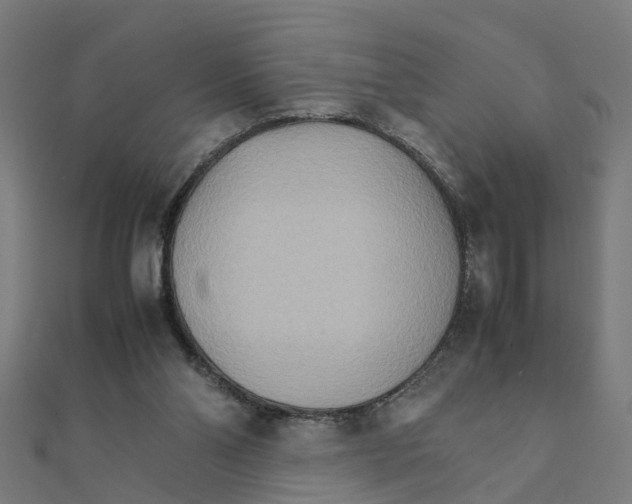 X0000111230110200907301254