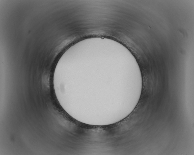 X0000111230112200907301254