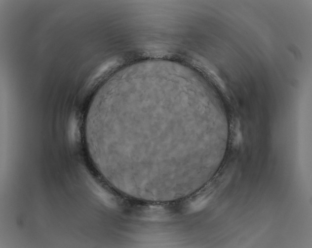X0000111230114200907301254