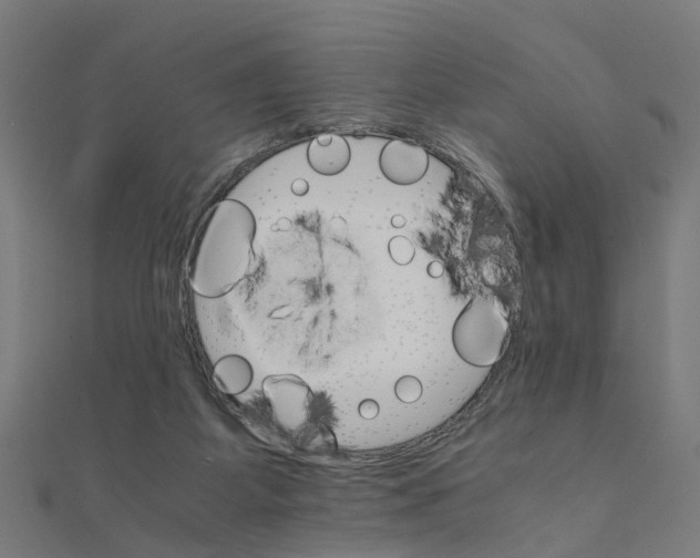 X0000111230115200907301254