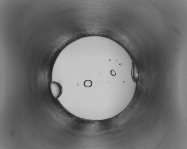 X0000111230116200907301254