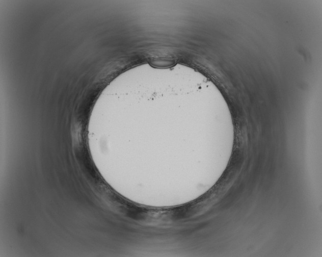X0000111230117200907301254