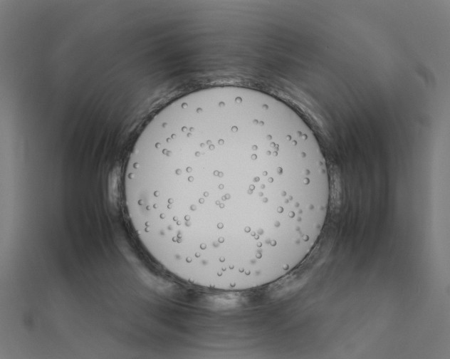 X0000111230118200907301254
