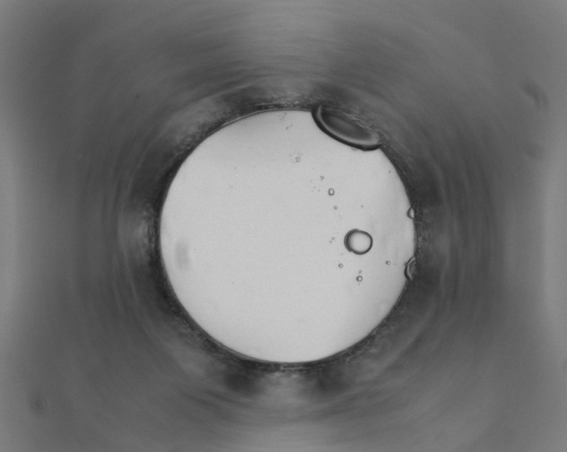 X0000111230119200907301254
