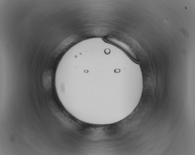 X0000111230120200907301254