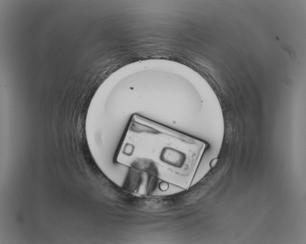 X0000111230121200907301254