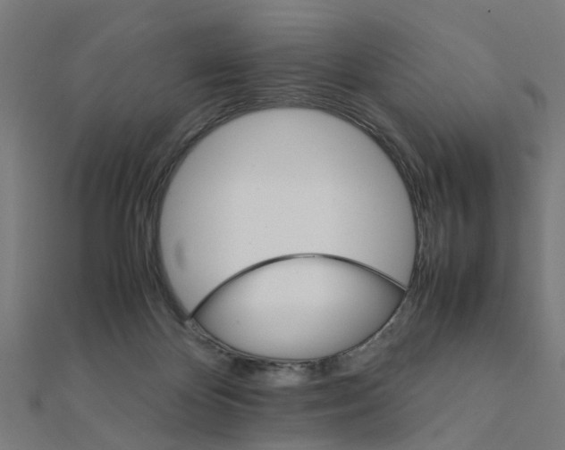 X0000111230124200907301254