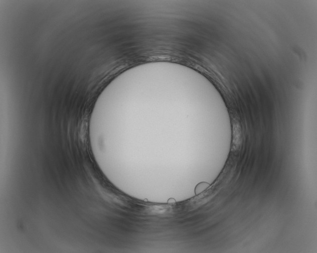 X0000111230126200907301254