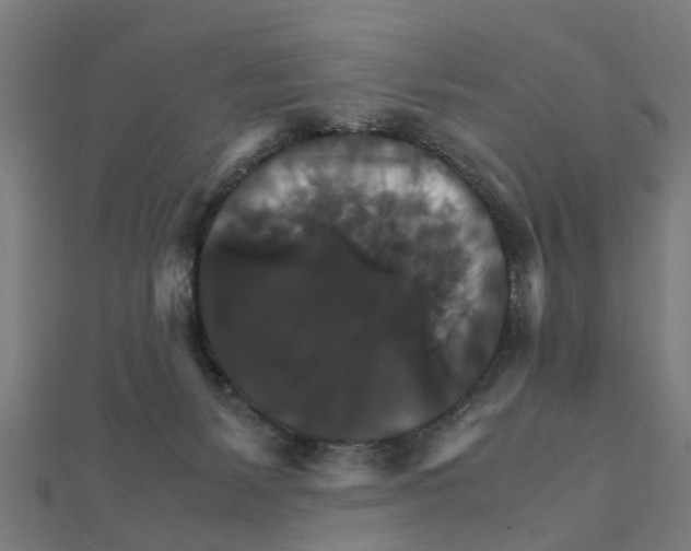 X0000111230127200907301254
