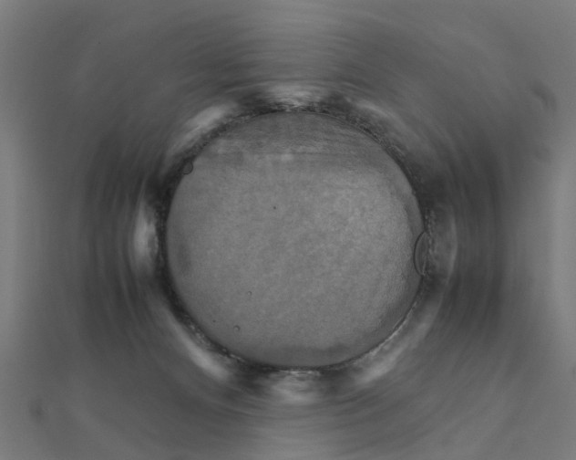 X0000111230128200907301254