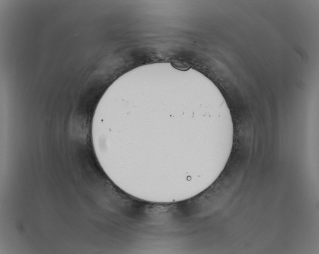 X0000111230129200907301254