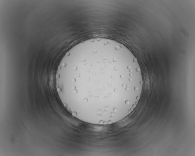 X0000111230130200907301254