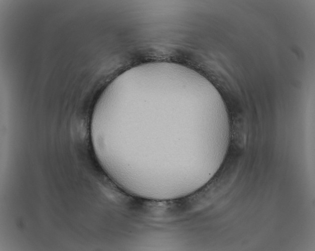 X0000111230131200907301254