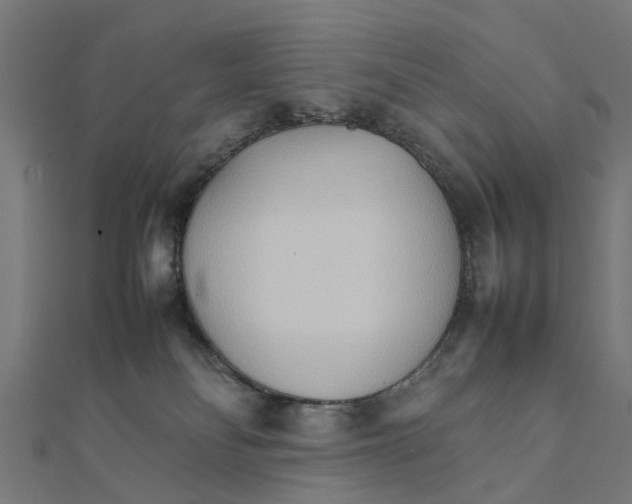 X0000111230134200907301254
