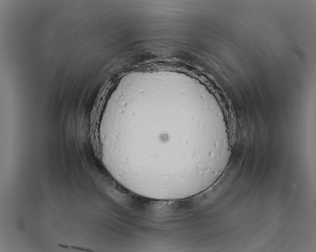 X0000111230136200907301254
