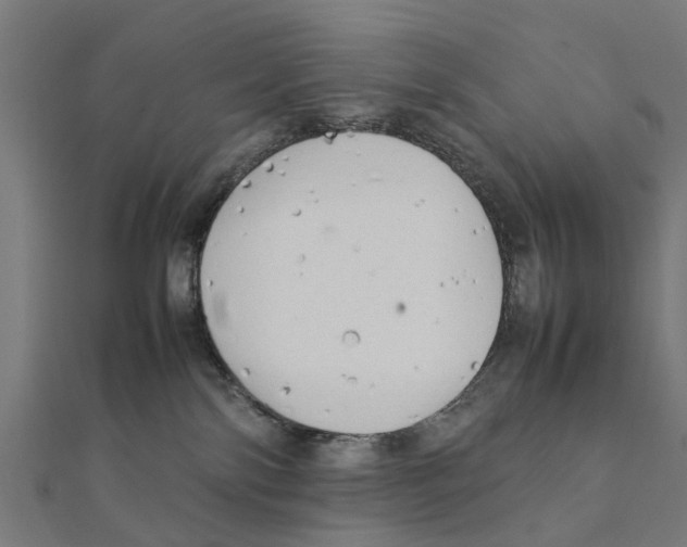 X0000111230138200907301254