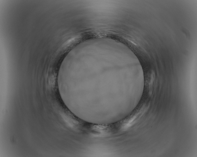 X0000111230139200907301254
