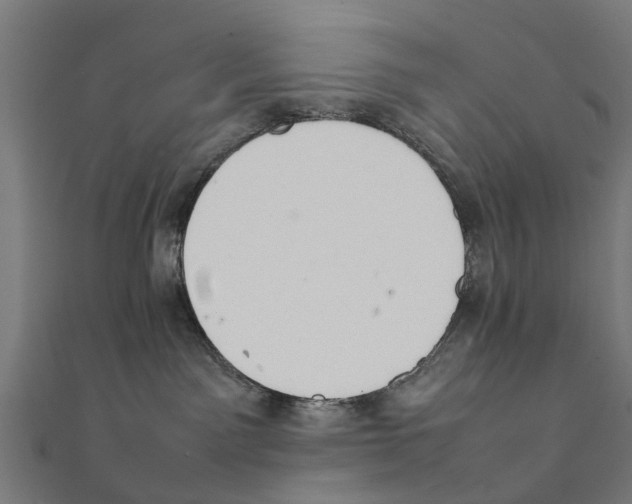 X0000111230141200907301253