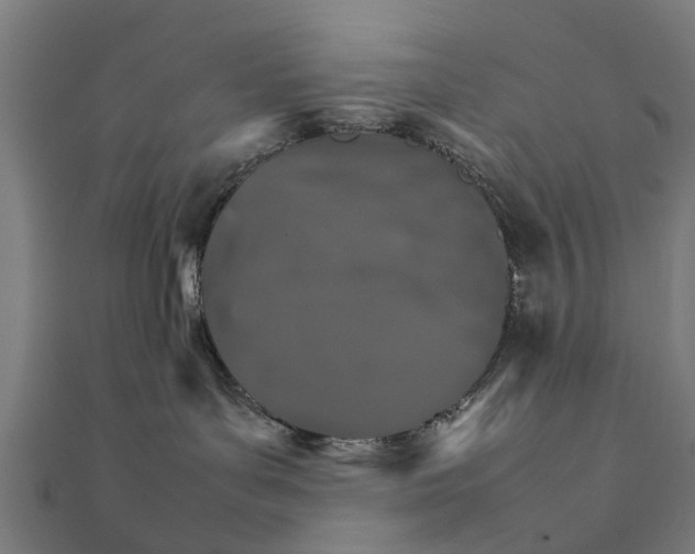 X0000111230143200907301253