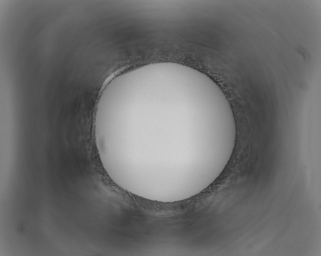 X0000111230144200907301253