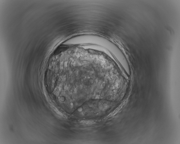 X0000111230145200907301253