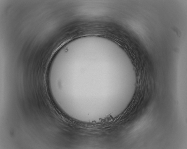 X0000111230146200907301253