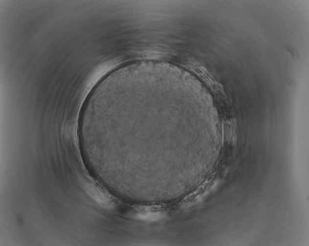 X0000111230147200907301253