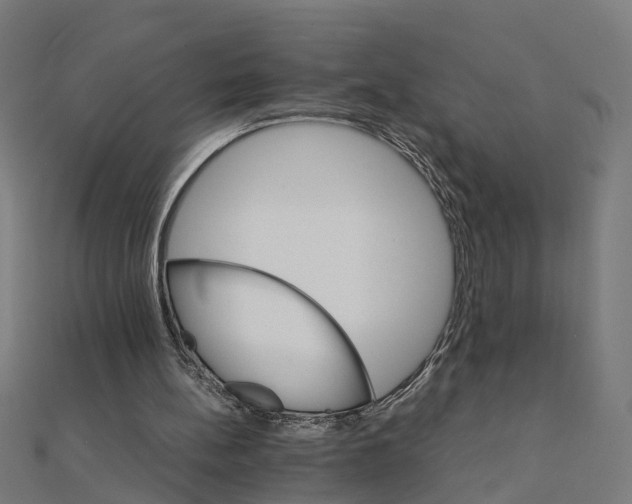 X0000111230148200907301253