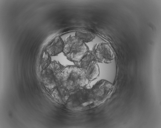 X0000111230149200907301253