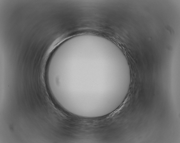 X0000111230150200907301253