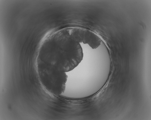 X0000111230151200907301253