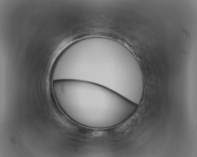 X0000111230152200907301253