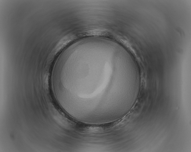X0000111230154200907301253