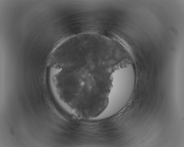 X0000111230155200907301253