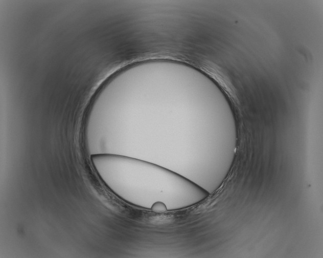 X0000111230156200907301253
