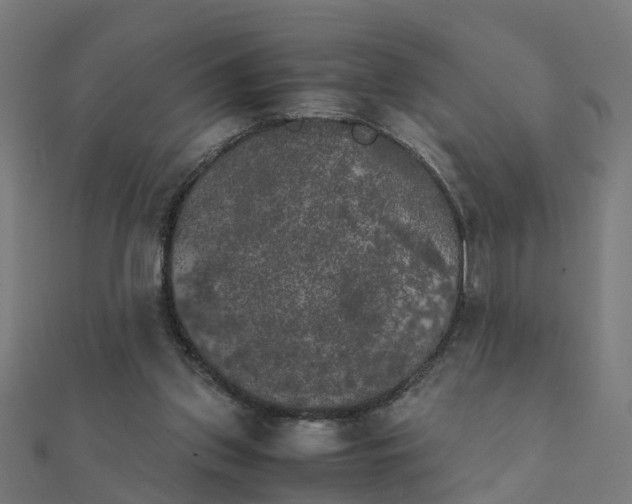 X0000111230157200907301253