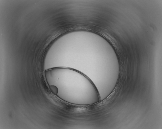 X0000111230158200907301253