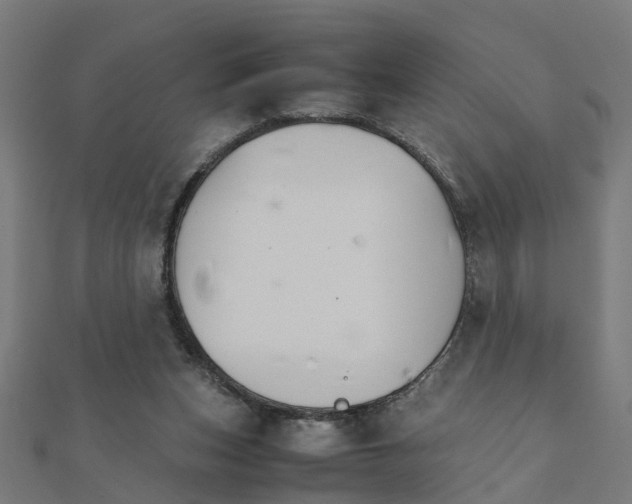 X0000111230159200907301253