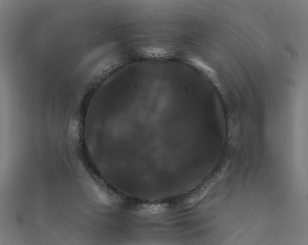 X0000111230161200907301253