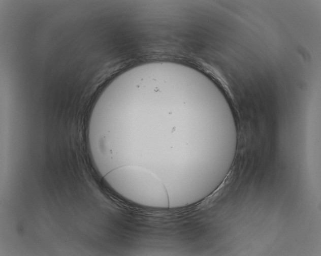 X0000111230162200907301253