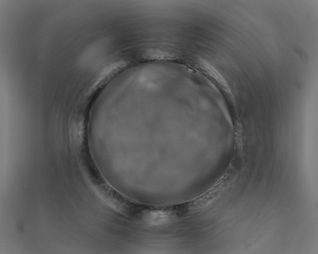 X0000111230163200907301253