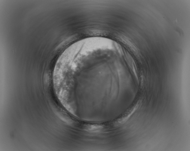 X0000111230165200907301253