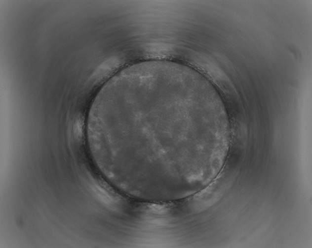 X0000111230166200907301253