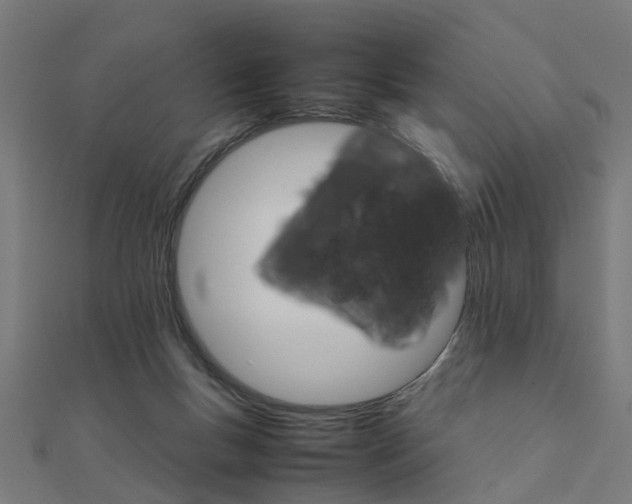 X0000111230167200907301253