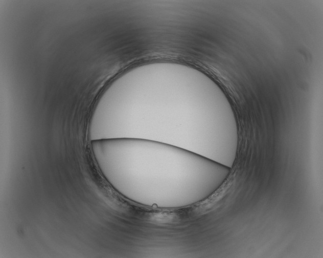 X0000111230168200907301253